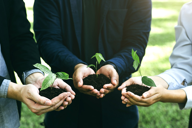 Combustíveis Renováveis B2B